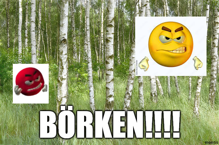 Birken