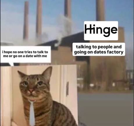 Meme über Datingplattformen