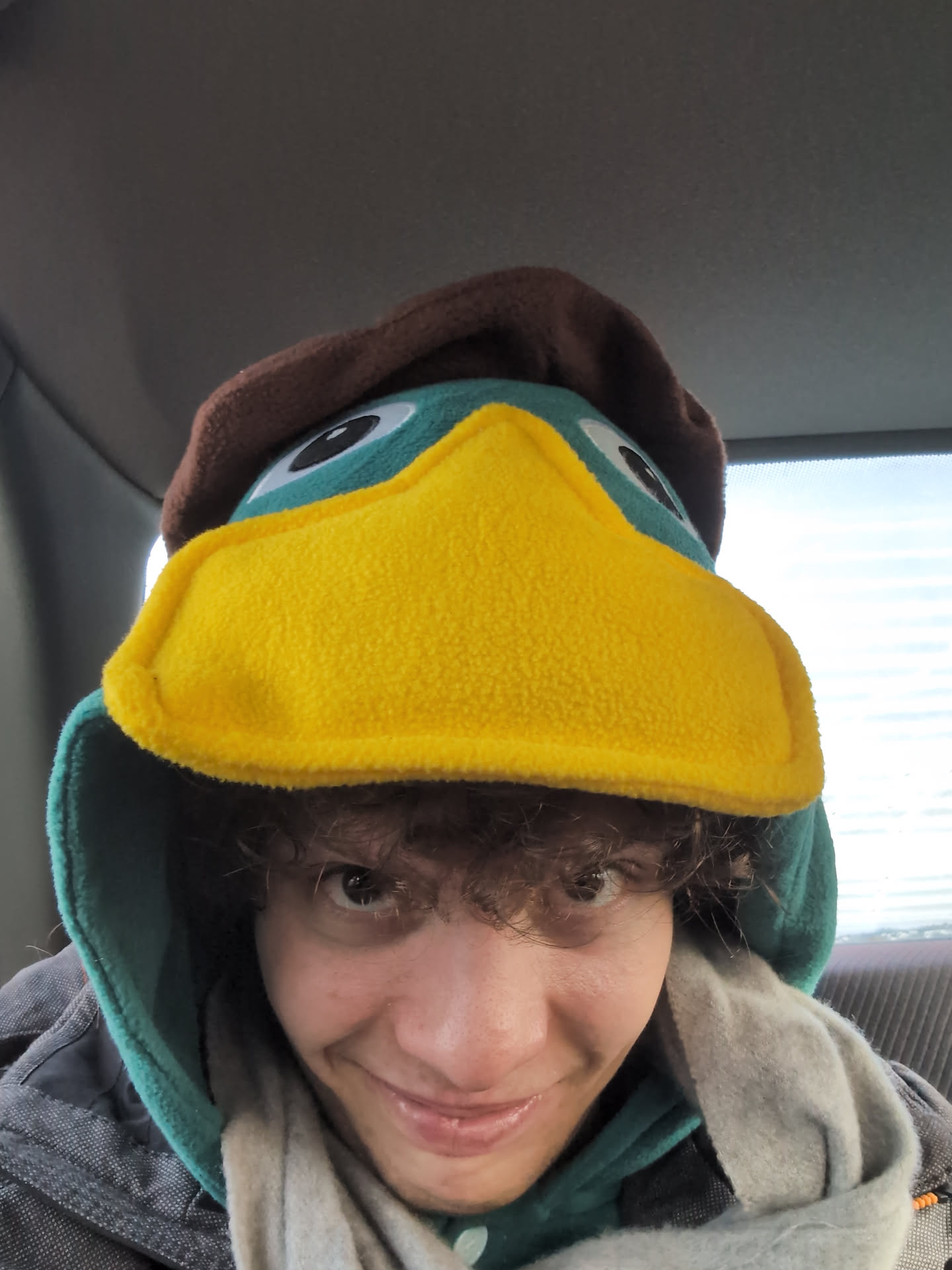 Schnabeltier